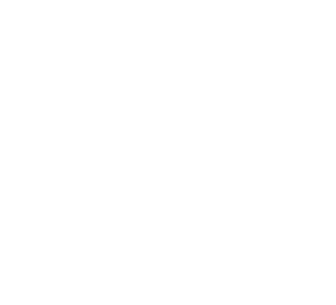 WIT logo